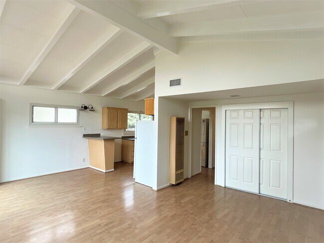 Living room, Kitchen and hall - 126 Rees St