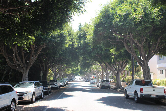 Tree lined street - 2824 Arizona Ave