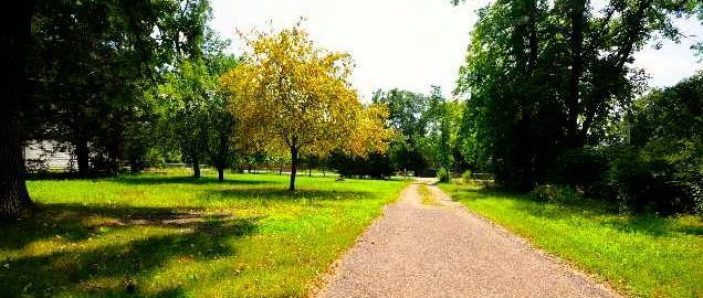 Foto del edificio - Roommate wanted to share charming cottage nestled in the woods!