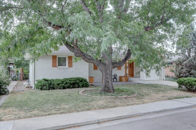 Foto del edificio - Beautifully renovated ranch home with drea...