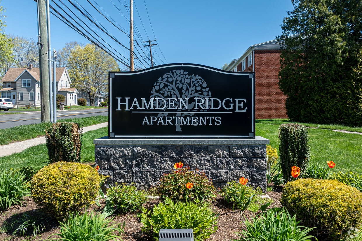 Primary Photo - Hamden Ridge Apartments