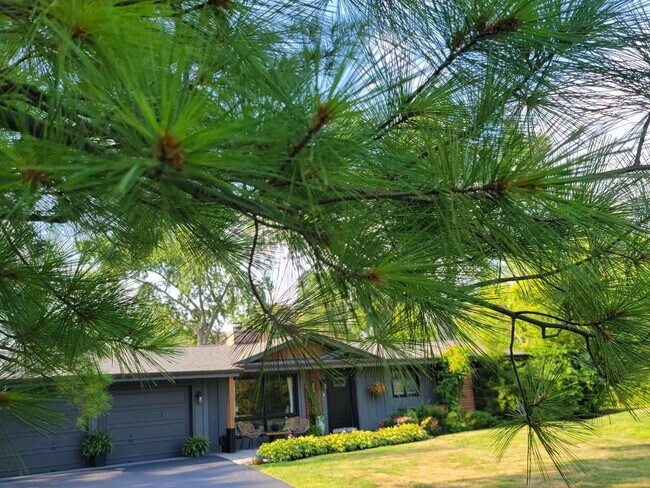Foto del edificio - 83 Wildwood Dr