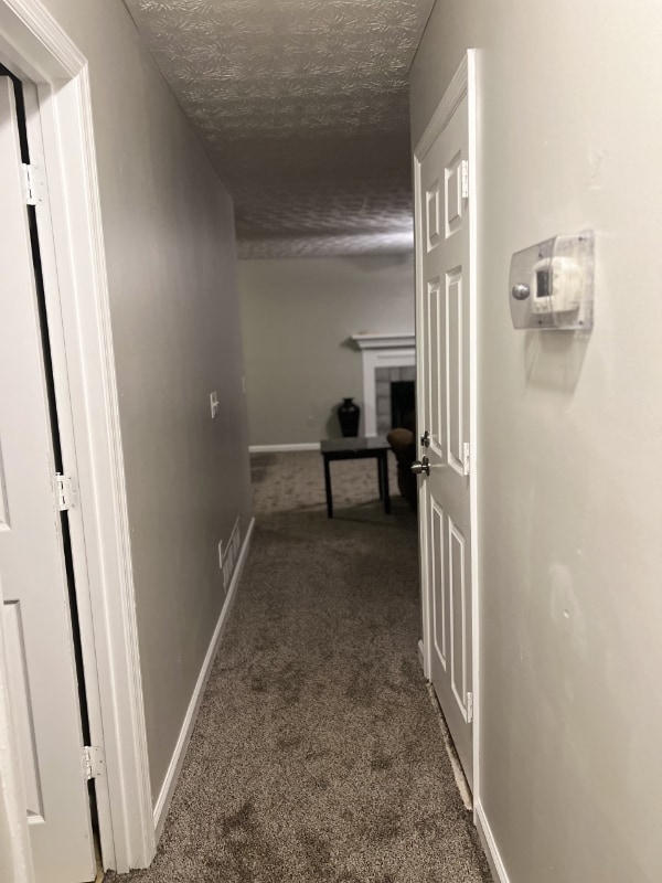 Building Photo - 4921 Ivey Ln