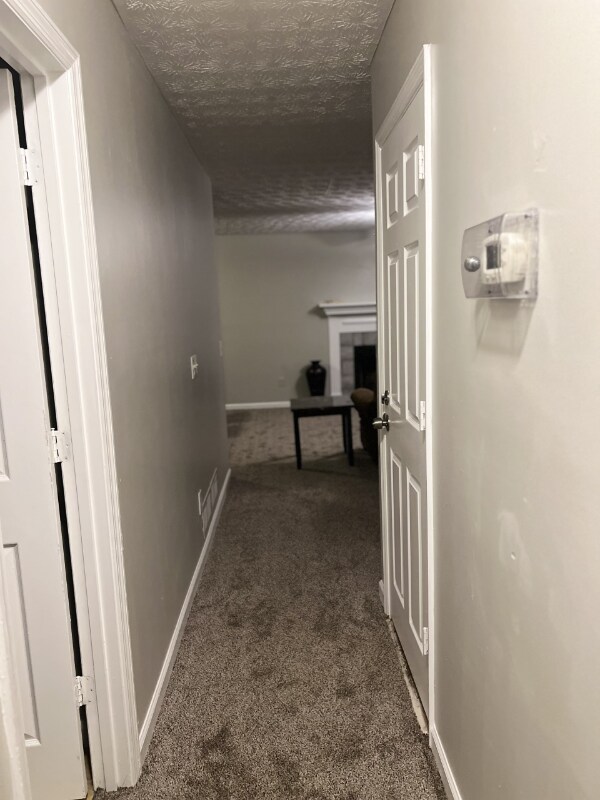 Foto del edificio - 4921 Ivey Ln