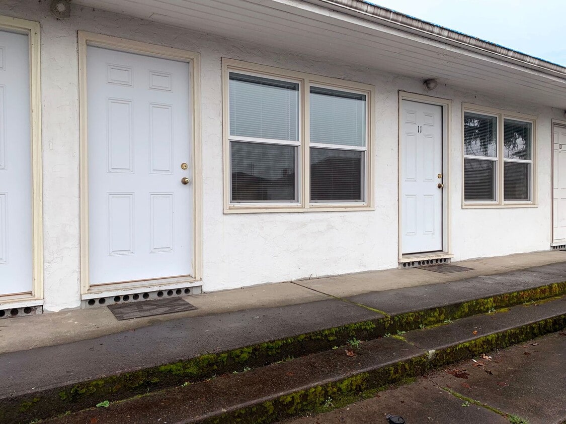 Primary Photo - Bright One bedroom Woodlawn Apartment