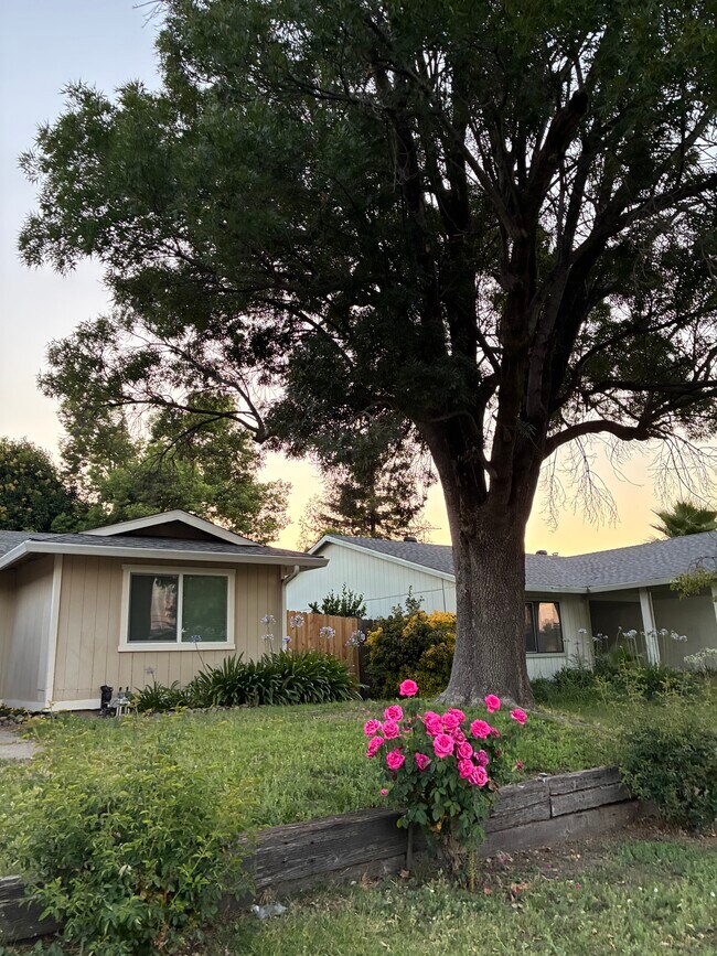 Building Photo - 6620 Briartree Way