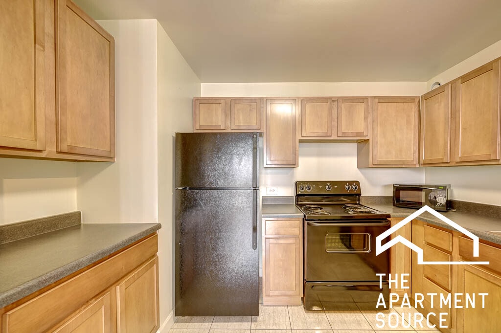 1000 Lasalle Dr Unit 903, Chicago, IL 60610 Condo for Rent in Chicago