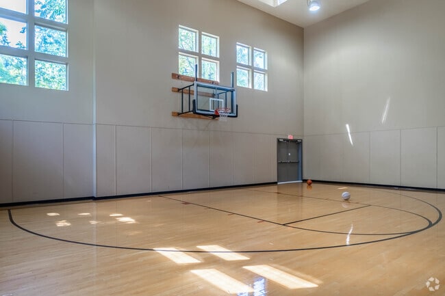 Basketball Court - Heatherwood