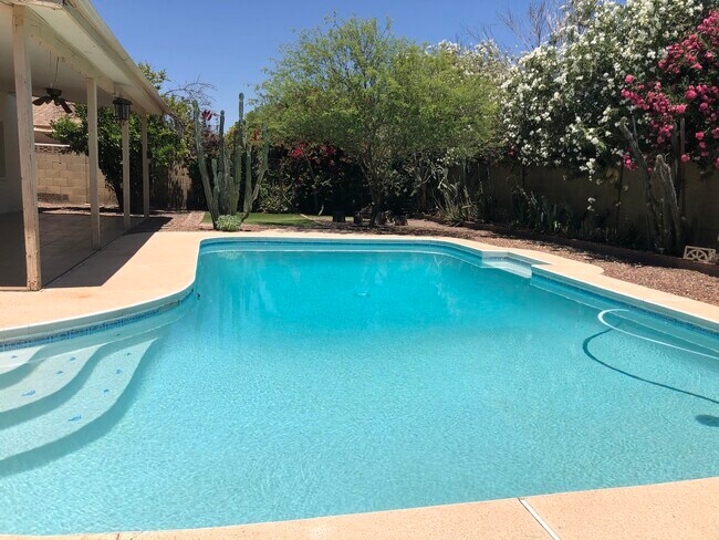 Piscina - 2715 S Cottonwood