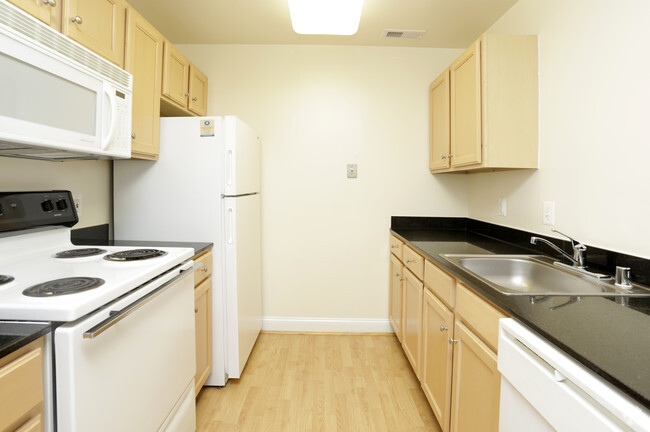 1BR, 1BA - 636 SF - Standard