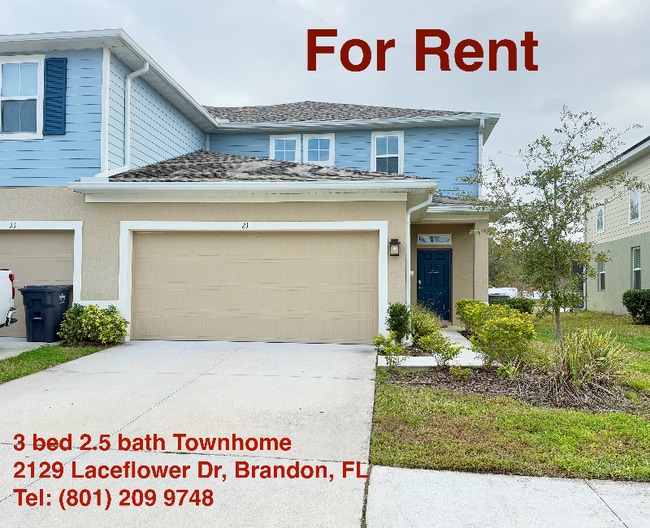 Photo - 2129 Laceflower Dr (Brandon, FL) Townhome