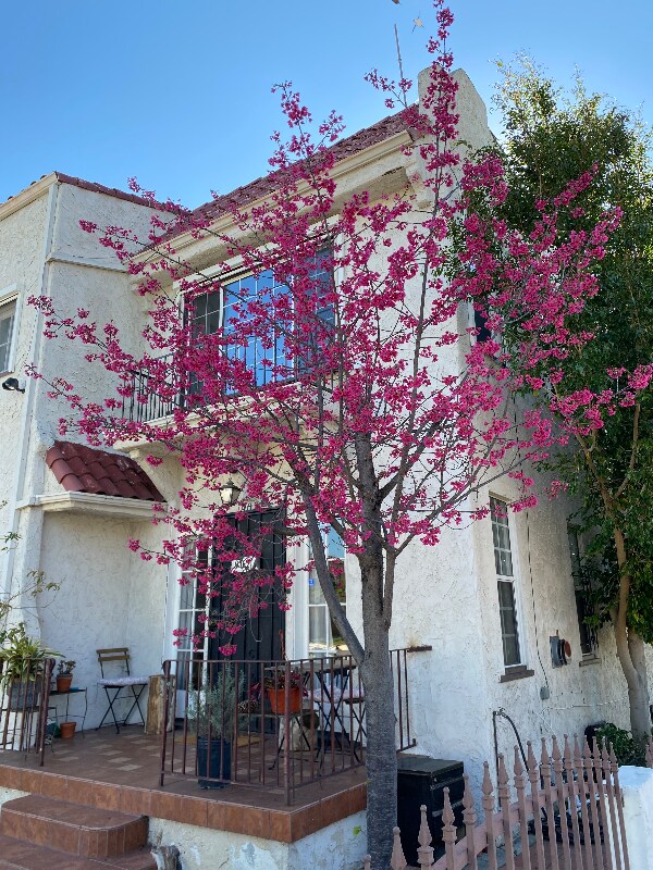 Primary Photo - 902 16th St