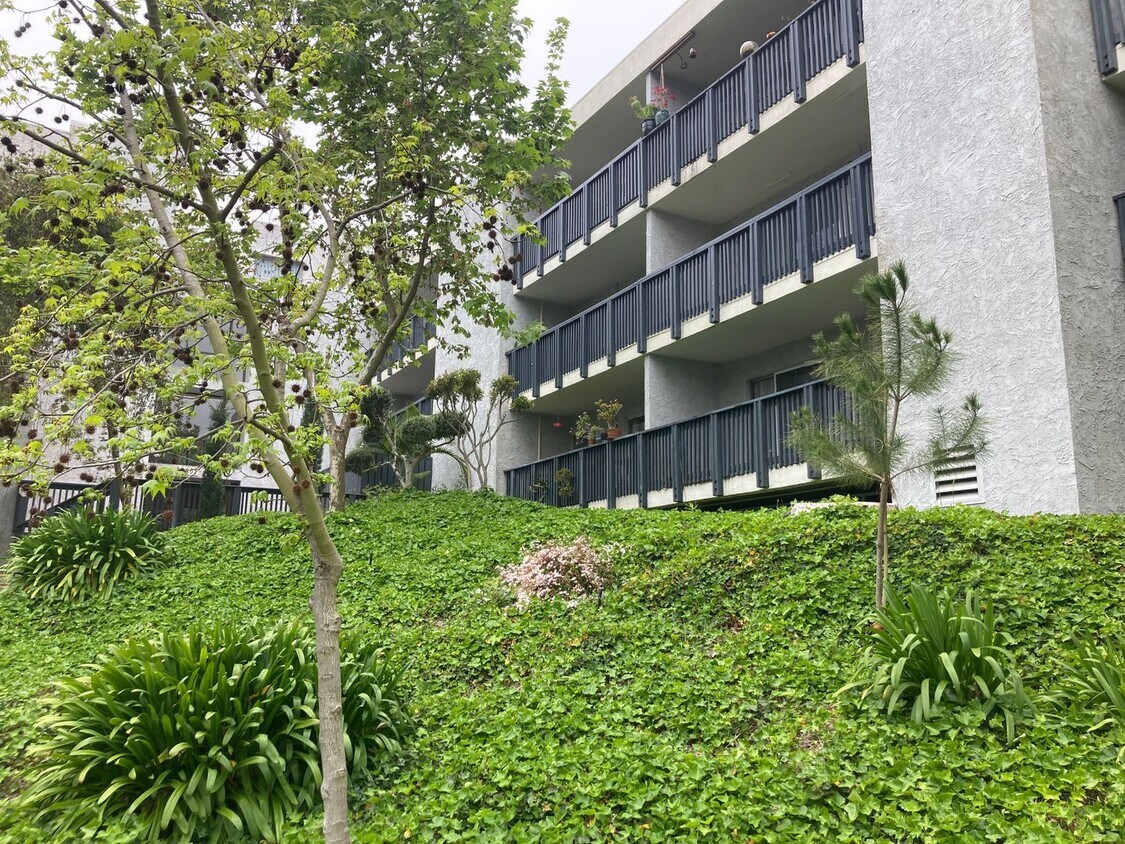 Primary Photo - Resort Style Living Large One Bedroom, One...