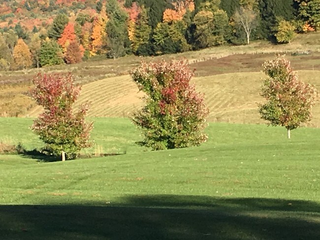 Ten Acres - 80 County Rd 11