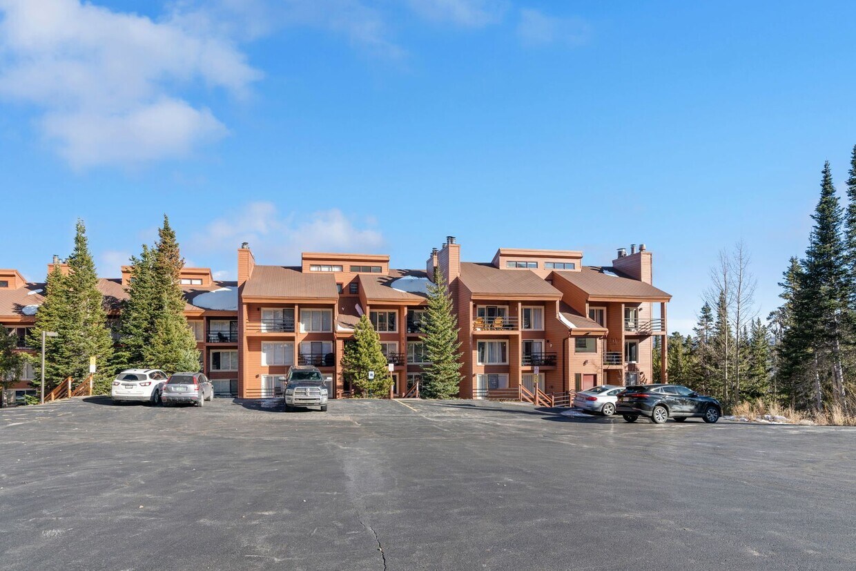 91100 Ryan Gulch Rd, Silverthorne, CO 80498 House Rental in