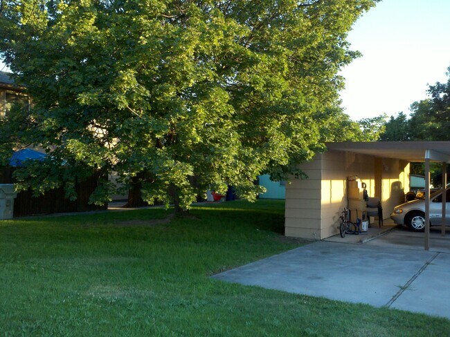 Spacious yard - 477 White Cloud Dr