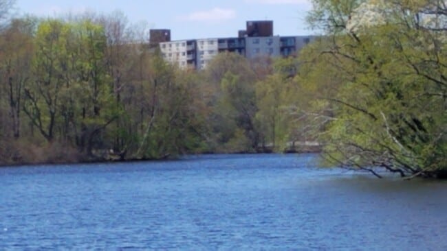 Building Photo - 151 Coolidge Ave
