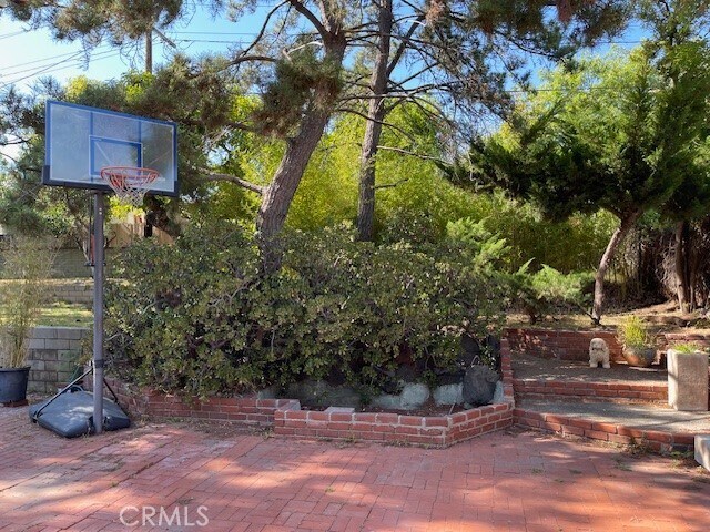 Foto del edificio - 3585 Shadow Grove Rd