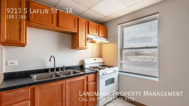 Foto del edificio - 9213 S Laflin Unit 3A, Chicago
