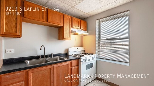 Building Photo - 9213 S Laflin Unit 3A, Chicago