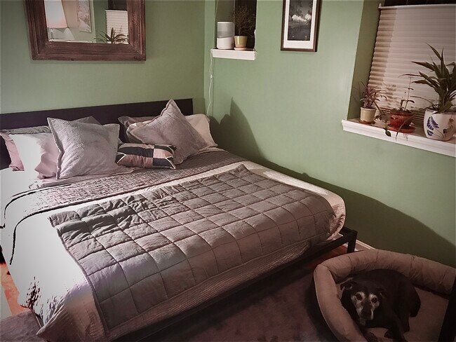 Foto del edificio - 1715 15th St NW