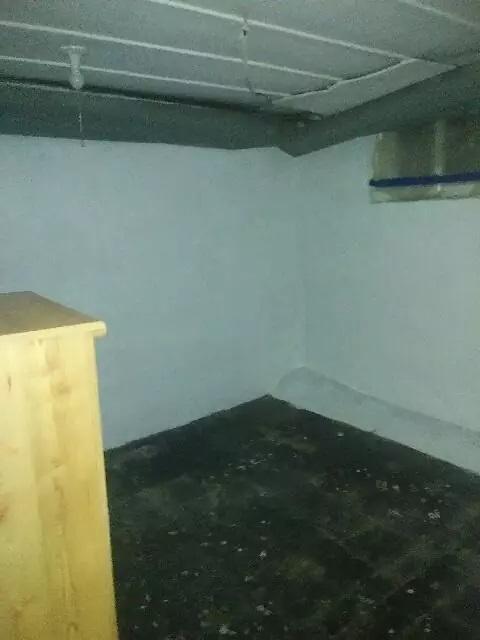 Foto del edificio - 415 W Stephenson, Bsmt