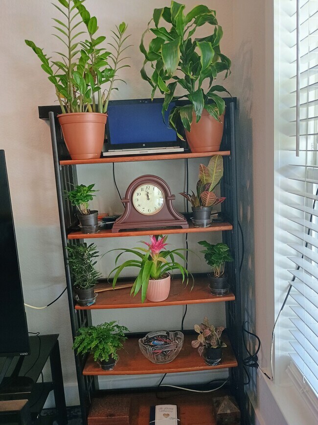 Foto del edificio - 14437 SW 21st Pl