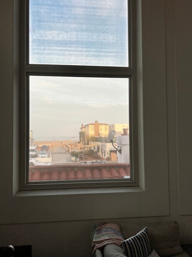 Daytime view - 137 Palm Dr