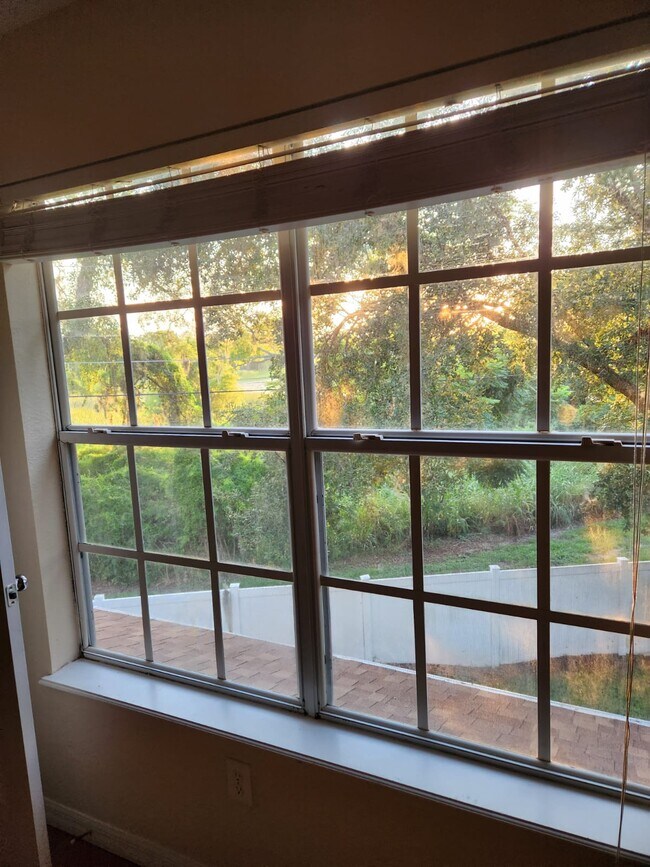 Vista trasera - 4206 Plantation Cove Dr