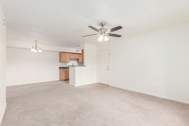Building Photo - Stunning 1 Bed, 1 Bath Condo in the Heart ...