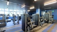 This fitness center is a fully equipped workout facility designed to support a comprehensive range of exercise routines. The space features a robust selection of strength training machines, including cable systems, weight machines, and resistance equipment arranged to allow easy navigation and access. Complementing the strength training area, a dedicated cardio zone houses multiple upright machines positioned along a wall of large, floor-to-ceiling windows that flood the space with natural light and offer views of the surrounding exterior. The interior design is defined by a sleek, modern aesthetic with deep navy blue accent walls and a dark ceiling that give the space a focused, energetic atmosphere. Overhead, bright fluorescent lighting ensures consistent illumination throughout. Full-length mirrors line one wall, enhancing the sense of openness while allowing users to monitor their form during workouts. The flooring features a durable, striped carpet tile that adds both comfort underfoot and a polished, professional look. The layout is thoughtfully organized to maximize available floor space, providing ample room between equipment to ensure a safe and comfortable exercise environment for multiple users simultaneously.