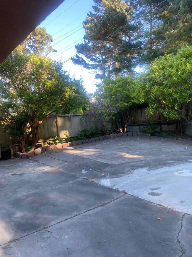 Building Photo - 204 Palisades Dr