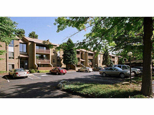 apartments for rent oakmont pa apartments for rent in oakmont pa apartments apartments for rent oakmont pa apartments for rent in oakmont pa apartments