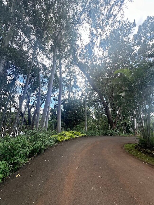 Building Photo - Wilikina Drive (Kemoo by the Lake)