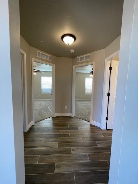 Foto del edificio - 3217 Mt Nebo Dr