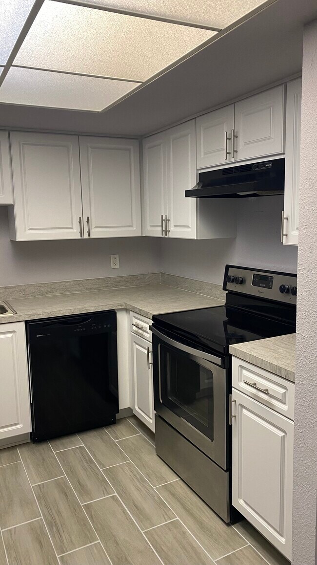 3709 Greenery Ct Unit 209, Tampa, FL 33618 Condo for Rent in Tampa