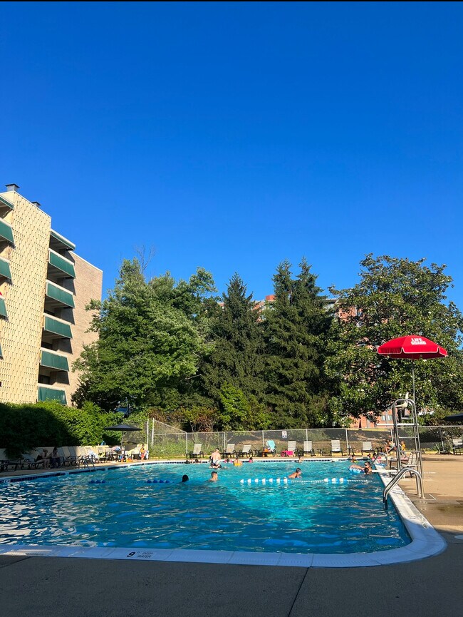 6133 Leesburg Pike Unit 509, Falls Church, VA 22041 Condo for Rent in