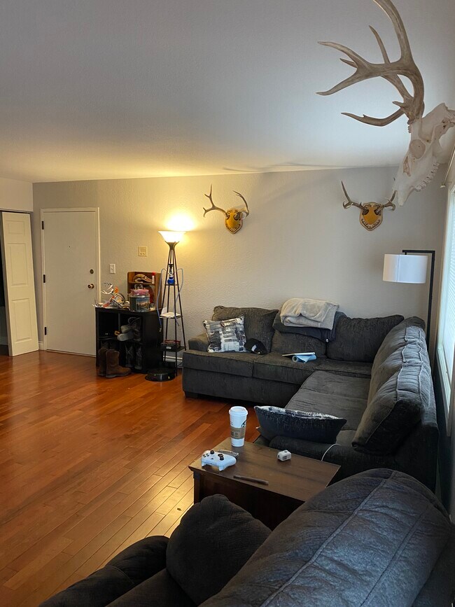updated paint color - 1721 Euclid Ave
