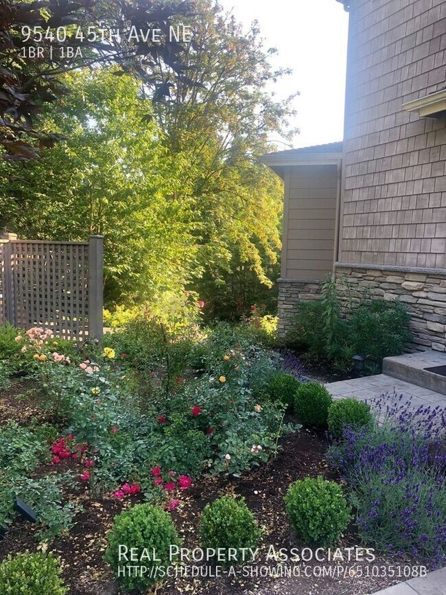 Building Photo - Enjoy the beautiful downstairs 1 bedroom M...