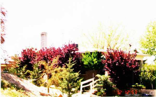 Building Photo - 16937 Rio Vista St