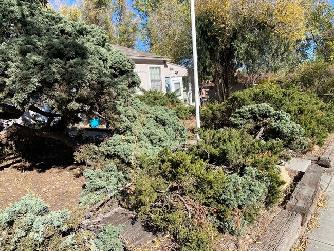Foto del edificio - 512 W Uintah St