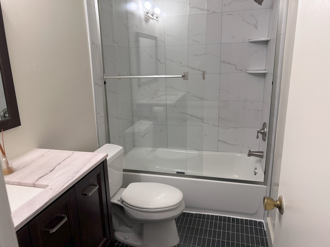 Brand new tub/shower - 8 Monroe St