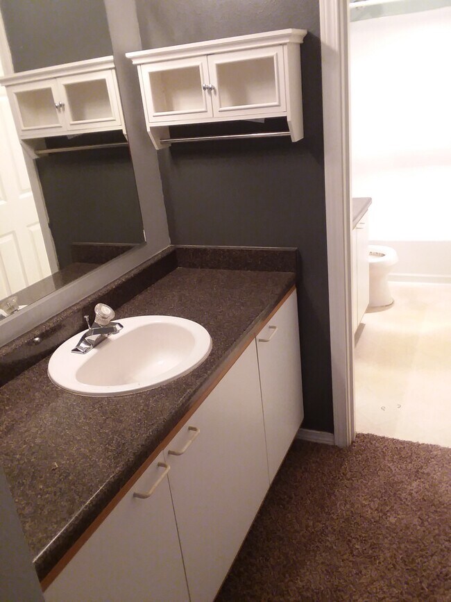 Extra sink adjacent to bathroom - 5000 Lake Washington Blvd NE