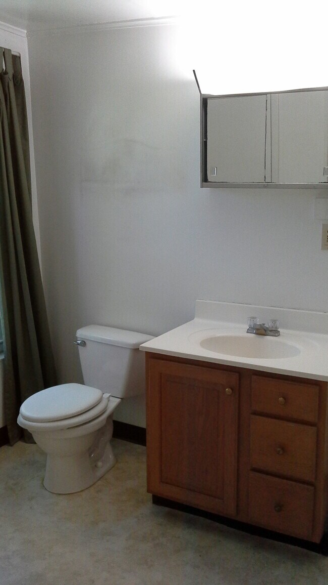 Baño - 222 N Albany St