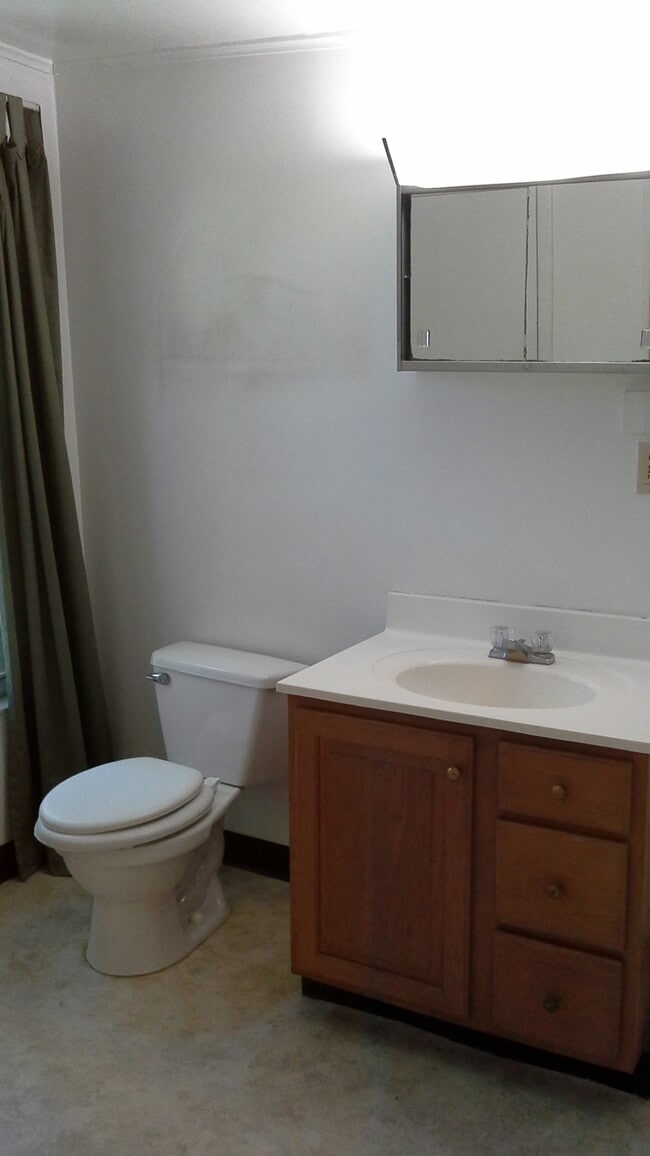 Bathroom - 222 N Albany St