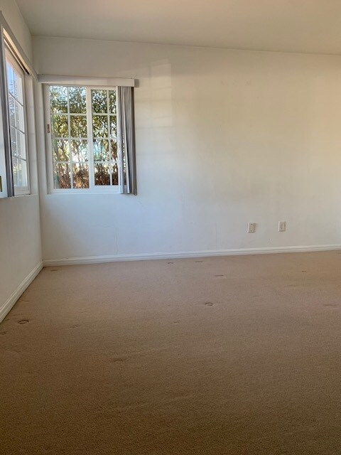 carpet - 3937 Madison Ave