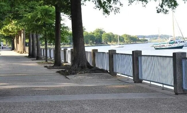 Photo - 520 N St SW Apartment