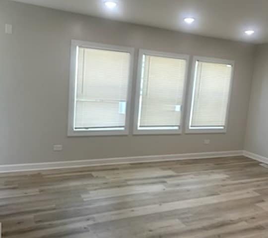 Building Photo - 219 E 89th Pl