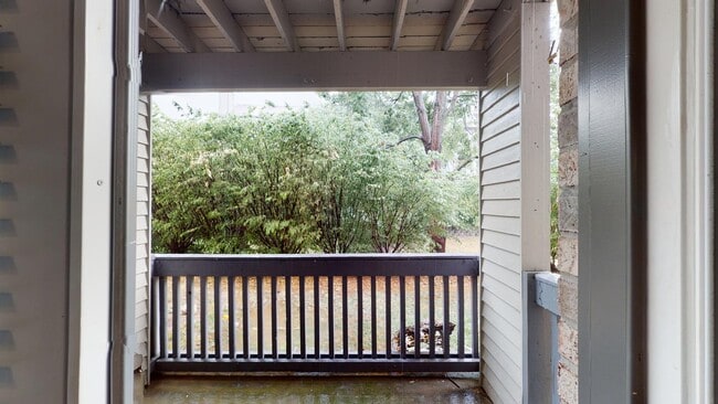 Interior Photo - Hickory Run
