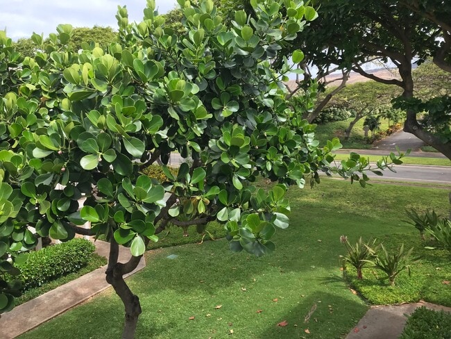 Building Photo - 296MAT